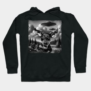 Sleek and Regal Doberman Pinscher Dog UFO Statement Tee Collection Hoodie